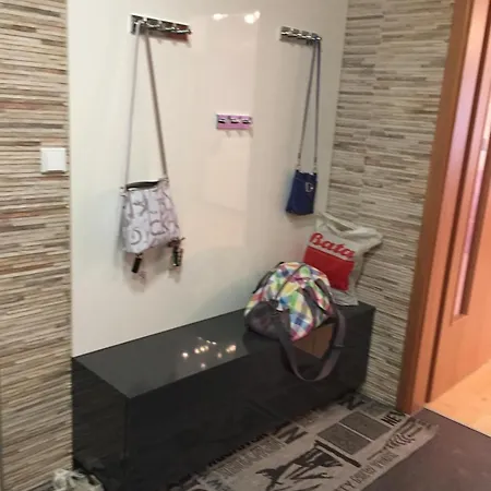 Lejlighed Apartman V Centru Hluboke Nad Vltavou *